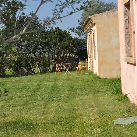 Pubulos 3* Όλμπια