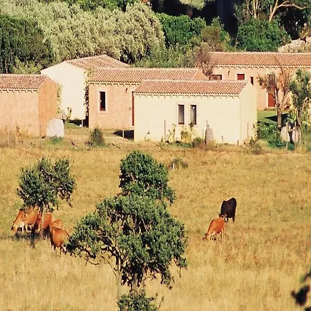 Pubulos